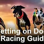 sky bet dog racing
